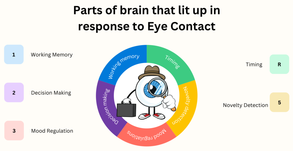 Eye Contact Stimulates Brain Activity and Enhances Connection